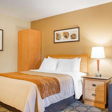 Comfort Inn Brantford Dış mekan fotoğraf
