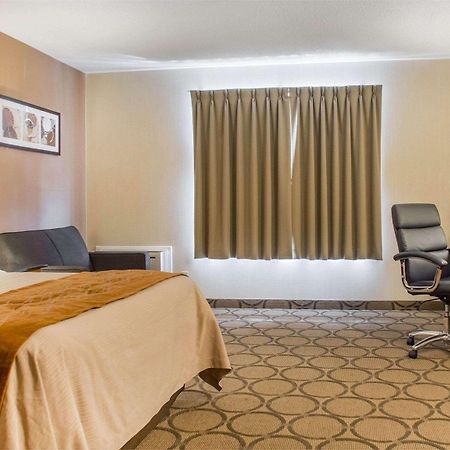 Comfort Inn Brantford Dış mekan fotoğraf
